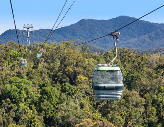 Skyrail Rainforest Cableway, Cairns