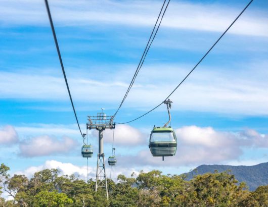 Skyrail Rainforest Cableway