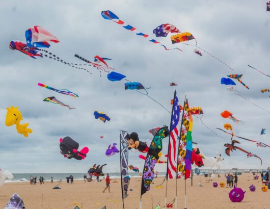 The image of kite festival at the beach