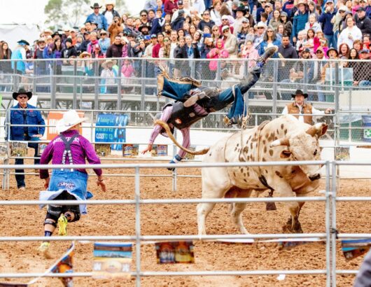 The image of the bull rider competition