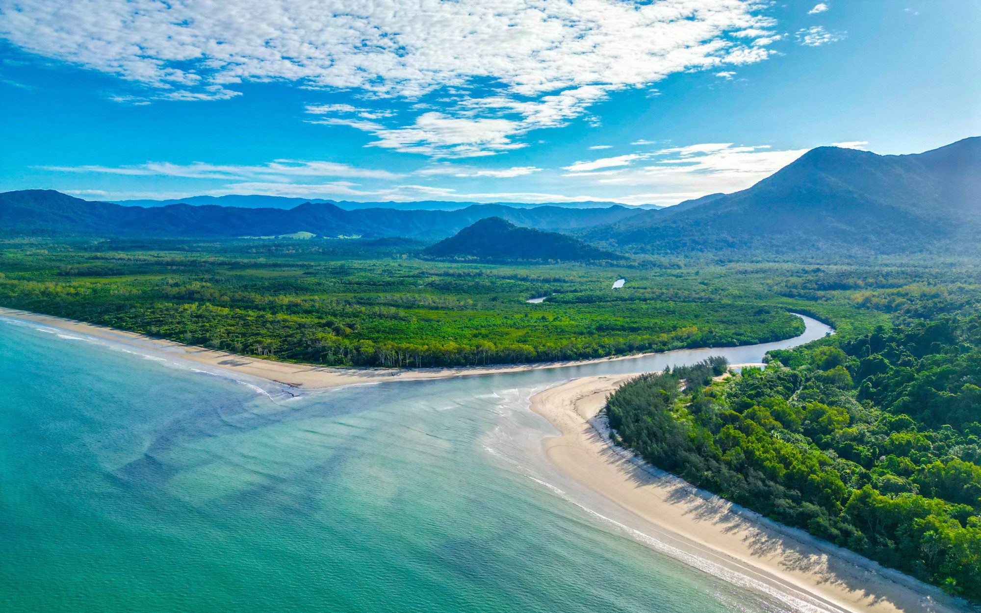 Drone View of Daintree Forest